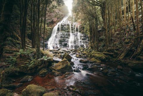 tasmania-central-plateau-nelson-falls